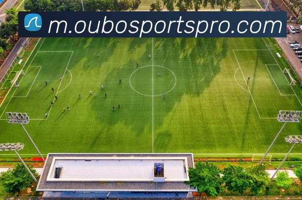 欧宝体育APP 体育赛事宣传图